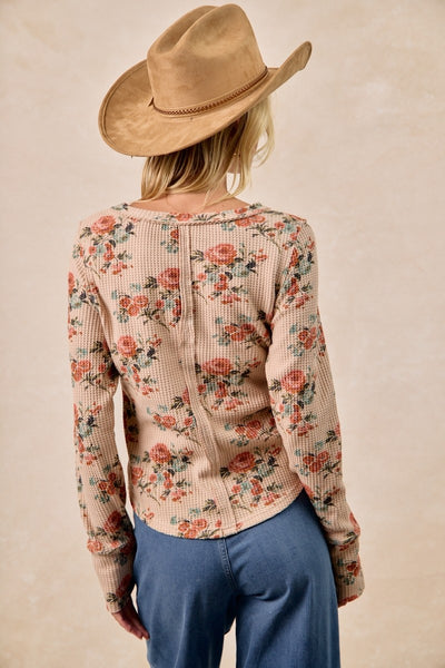 The Dahlia (Cream)